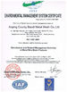 Chiny Anping County Baodi Metal Mesh Co.,Ltd. Certyfikaty