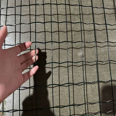 Powierzchnia PVC pokryta nowa Euro Holland Wire Mesh cena spawana sieć drutowa Ogrodzenie plastikowe powlekane spawane rolka sieci drutowej