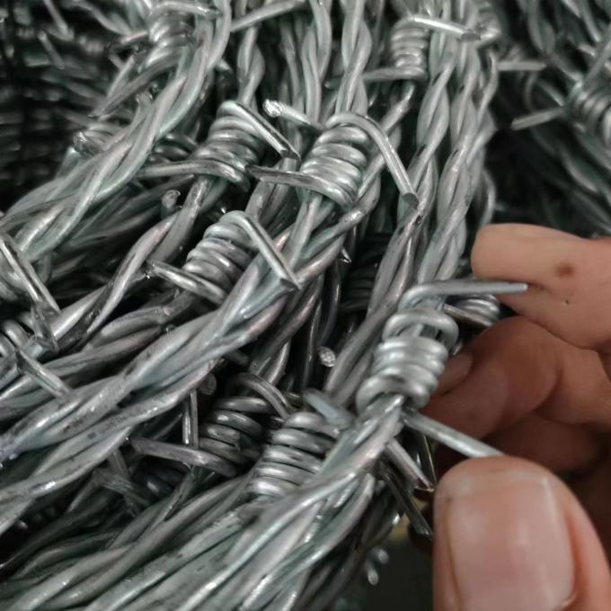 Przeciwrożniająca galwanizacja z drutami kolczastymi 450 mm średnica 5